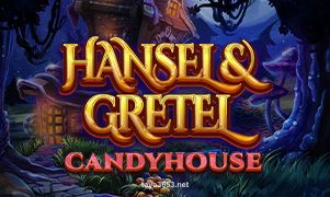 Hansel And Gretel Candyhouse