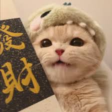 Avatar người dùng Lan